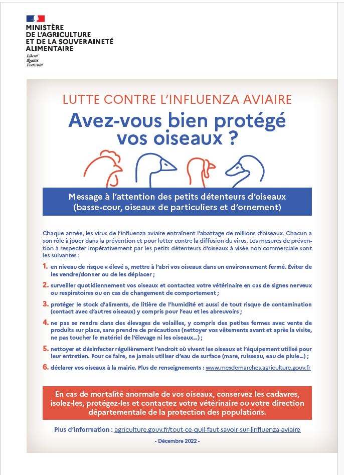 Capture-decran-2024-11-27-154100