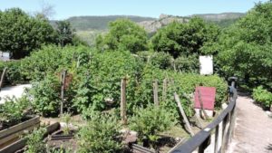 Jardin " Le rouge et le noir"