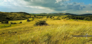 Paysage du causse - Froggys-photo