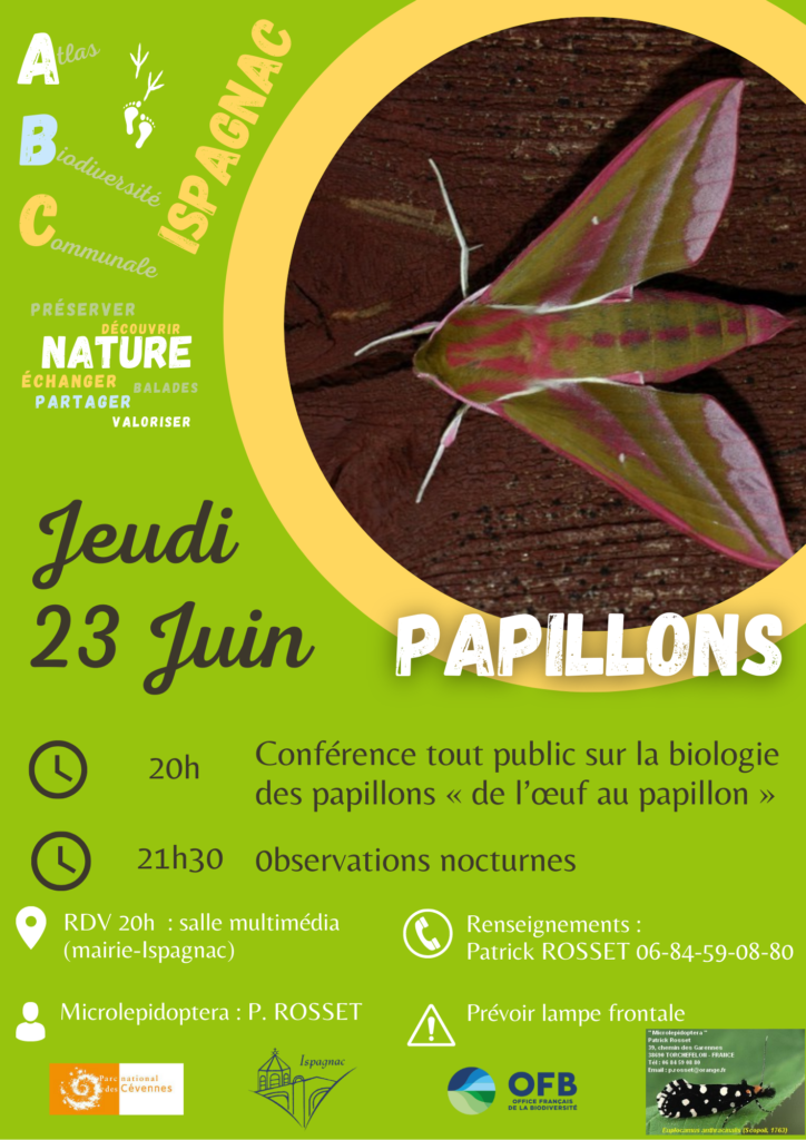 Affiche_animation-6-Papillons_ABC_2022